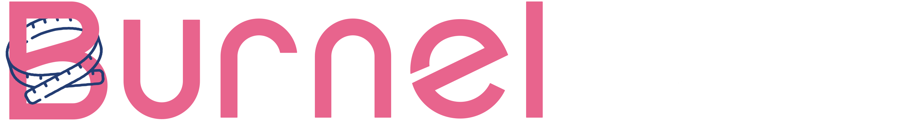 site-inner-logo-burnelviax.png