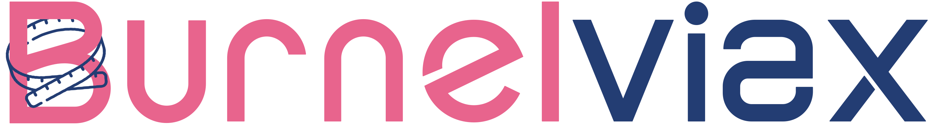 site-logo-burnelviax